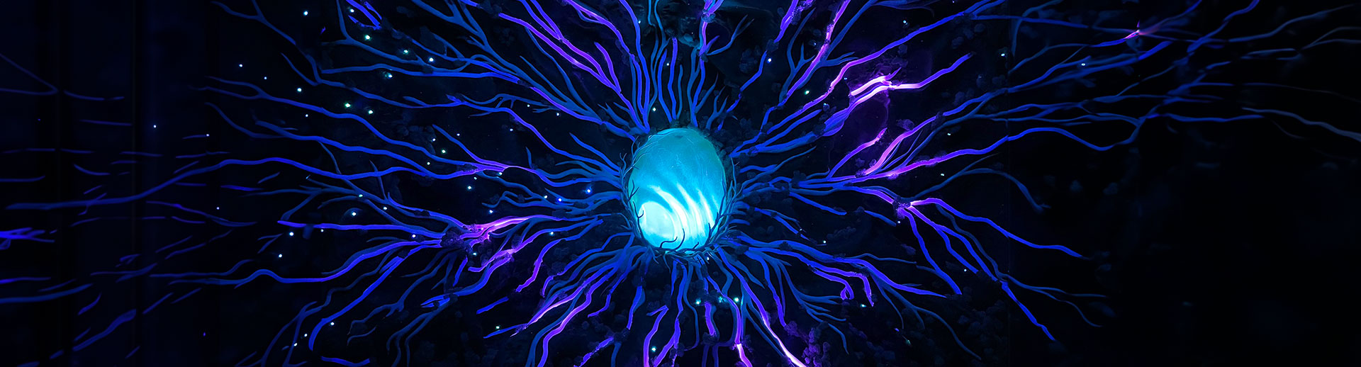 Абрау-Дюрсо